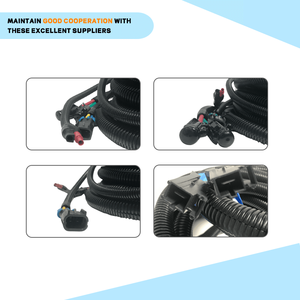 Arnés de cableado principal personalizado 3016944 de 2 pines giratorio para productos de distribuidores, para esparcidor SaltDogg, cables de tela automotriz - Product Image 4