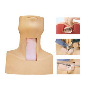 โมเดลทางการแพทย์ SC-J58หลอดลมง่ายหุ่นจำลองการฝึกทักษะฉุกเฉิน - Product Image 1