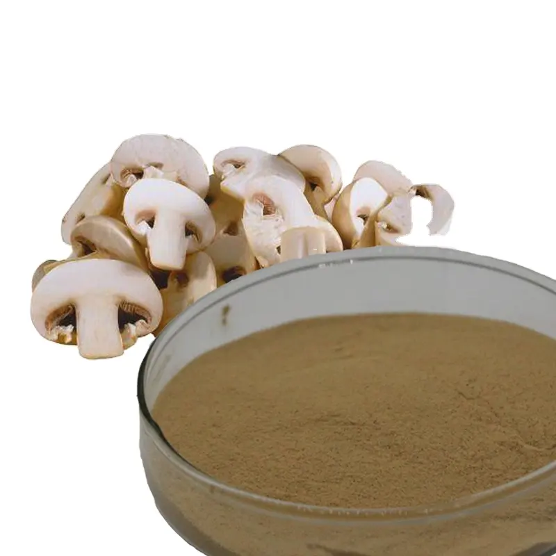 Champignon comestible et médicinal, Agaricus Bisporus en poudre (champignon blanc), OEM