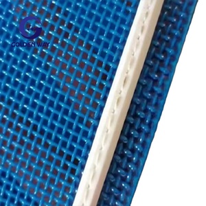 China Molen Beste Prijs Wit Blauwe Kleur Gebruikt Polyester Vierkante Gat Gaas Riem 09502 Speciaal Voor Voedsel Drogen Fabriek - Product Image 4