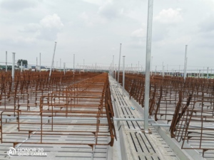 Hog Slat Gestation Stalles 8 Styles Nouvelle condition pour la disposition de l'alimentation des porcs et les besoins opérationnels de toute ferme d'élevage porcin - Product Image 2