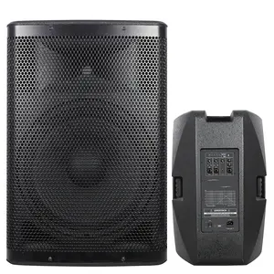 1600 watt 15 inç woofer profesyonel ses PA sistemi hoparlör ses kutusu DSP fonksiyonu ile BT 2 kanal hattı/gitar girişi