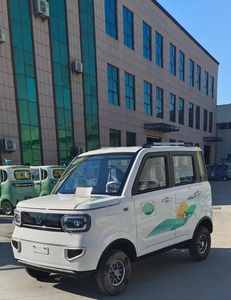 高品质中国制造廉价低速迷你电动车4轮4门1500瓦汽车迷你电动车 - Product Image 6
