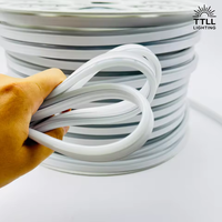 Ruban LED néon flexible 220V AC, étanche IP68, rouleau de 50M/100M, éclairage extérieur pour façade de bâtiment, éclairage personnalisé pour projets