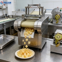 Commerciële groentesnijder, groenteschiller en -snijmachine voor fruitverwerkingsbedrijven