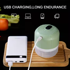 Nouvelles idées de produits 2025 : Outils pour fruits et légumes, hachoir à ail électrique USB mini 250 ml, hachoir à aliments avec câble USB - Product Image 2