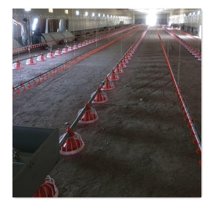 Automática aves alimentador y bebedor de <span class=keywords><strong>pollo</strong></span> de engorde - Product Image 2