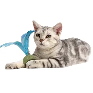 Boule de menthe pour chat, résistante aux morsures, jouets interactifs de nettoyage des dents, boule d'herbe à chat, jouet en plumes de chat