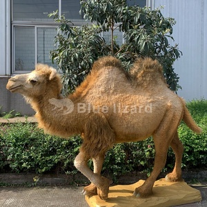 Lebensgroße Realistische Animatronische Bactrische Kamel-Statue Innendekoration Tiermodell Simuliertes Fell Kamel-Skulptur - Product Image 6