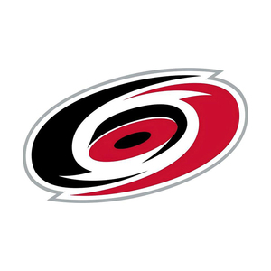 थोक 32 यूएस विननीपेग जेट टीम लोगो प्रशंसकों की बड़ी चेन हार हिप हॉप 3 डी एवा फोम हार - Product Image 5