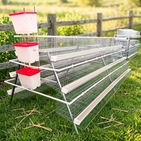 Cage à poulets de type A à 4 niveaux et 5 portes, système de cages en batterie galvanisé à chaud, capacité de 128 oiseaux par ensemble, équipement d'élevage avicole