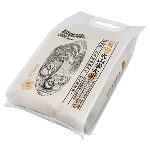 사용자 정의 인쇄 플라스틱 1kg 2kg 5kg 10kg 쌀 식품 포장 가방