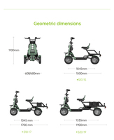 Scooter électrique miniature à 4 roues pour personnes âgées, 48V 500W, batterie amovible, pneus à absorption des chocs de 13 pouces, frein hydraulique, chariot de mobilité pour le parc