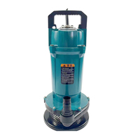 Pompes submersibles agricoles de 2 pouces, 1,1 kW, 1,5 CV, fabriquées en Chine, pour l'irrigation domestique/agricole, pompe à eau propre pour puits