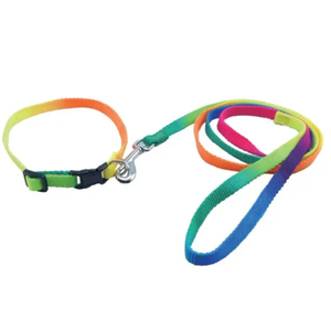 Collier et laisse pour chien en nylon coloré et brillant pour une utilisation extérieure en toute sécurité. - Product Image 2