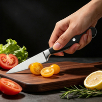 3,5 inch professioneel schilmesje van 3Cr13 roestvrij staal met scherp lemmet, fruitmes met ABS & 430 roestvrijstalen handvat