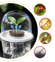 Pot de semis hydroponique, petit pot de fleurs, pot de semis, conteneurs de culture aquatique, gobelet transparent, pots de pépinière avec dôme d'humidité