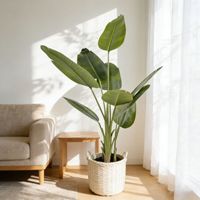 Banane du voyageur artificielle, grande plante artificielle d'intérieur, plante artificielle de banane du voyageur en pot détachable