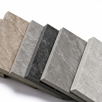 Carreaux de porcelaine imitation pierre gris foncé antidérapants épais 24x24 60x60x2cm pour l'aménagement extérieur de jardin, patio et sols extérieurs