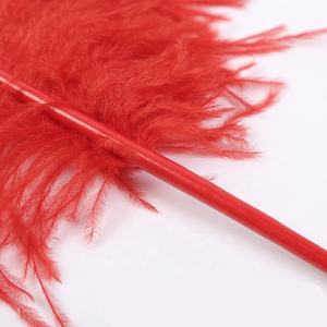 Vente directe usine : <span class=keywords><strong>Plumes</strong></span> d'autruche lavées colorées de 75-80 cm en vrac pour la décoration de fêtes, lampes, artisanat, murs et mariages - Product Image 5