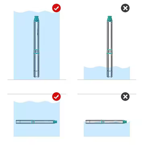 Ensemble de <span class=keywords><strong>pompe</strong></span> submersible industrielle AC 4SDM4/6 220V 0,75KW, <span class=keywords><strong>pompe</strong></span> <span class=keywords><strong>solaire</strong></span> pour puits profonds DTH pour l'aquarium, l'<span class=keywords><strong>arrosage</strong></span> et l'irrigation - Product Image 3