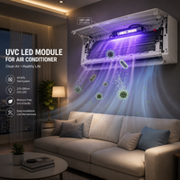 Lampe LED UV germicide UVC 1W 12V à double source lumineuse pour ongles 265nm 365nm en verre de quartz avec télécommande et purification de l'air