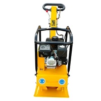 Compacteur manuel lourd de haute qualité de plaque de saleté en caoutchouc de vibration d'essence de 160 kg fabriqué en Chine