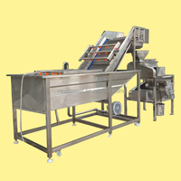 Efficiënte Commerciële Fruitreinigings-En Pulpproductielijn/Volautomatische Fruitreinigings-En Pulpmachine