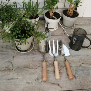 ชุดตัก<span class=keywords><strong>ดิน</strong></span>แบบหล<span class=keywords><strong>ว</strong></span>มสำหรับปลูกในส<span class=keywords><strong>ว</strong></span>นพ<span class=keywords><strong>ลั</strong></span>่วมือพร้อมด้ามไม้เกรียงทำส<span class=keywords><strong>ว</strong></span>น - Product Image 5