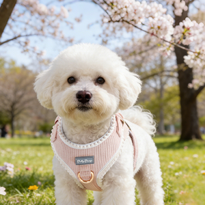 Arnés para Perros sin Tirones, Tejido Suave tipo Waffle, Ajuste Cómodo, Anilla en D para Correa, Colores OEM/ODM - Product Image 2