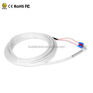 Sonda de Temperatura con Cable, Sensor de Temperatura de Acero Inoxidable Pt100, 4 Cables, OEM/ODM, IP65, 1 Año de Garantía, Longitud de la Sonda - Product Image 1