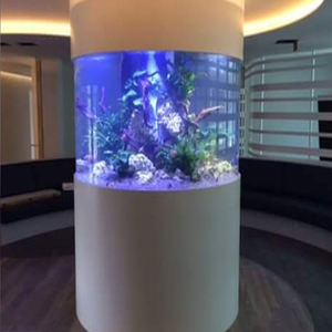 Aquarium cylindrique intérieur en plastique acrylique, grand prix, prix bas, 1 pièce - Product Image 6