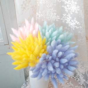 Détor de mariage séché préservé queue de lapin herbe fleur multicolore queue de lapin herbe pour décorations pour la maison bricolage Bouquet - Product Image 1