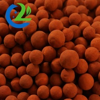 Katalis Reaktor Chuangli (AL2O3Fe) Kemurnian 99% Bentuk Bola untuk Unit Pemulihan Sulfur Pabrik Cina