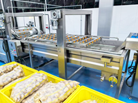 De Volautomatische Lijn Van De Fruitgroenteverwerkingsmachine Omvat Het Wassen Van Het Schillen Van Het Snijden Van Het Drogen-Voor De Kerncomponent Van De Notenmotor
