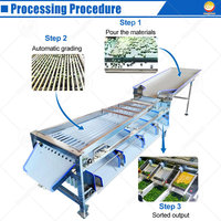 Machine de tri et de calibrage industrielle ORME pour olives, pommes de terre, citrons, fruits, tomates, lavage et tri