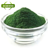Poudre de spiruline de haute qualité OEM/ODM, emballage personnalisé, riche en protéines végétales