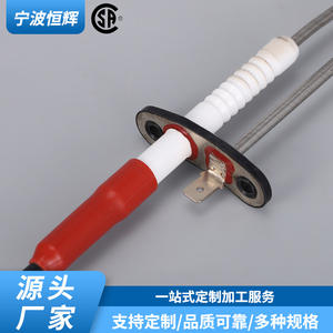 Ignition Needle AP231722236 Stainless Steel <b>Heating</b> <b>Element</b> For Boilers And <b>Ovens</b> Embedded Installation - Product Image 5