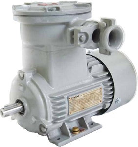 มอเตอร์แบบอะซิงโครนัสสามเฟส 75 กิโลวัตต์ ป้องกันการระเบิด - Product Image 1