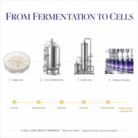 Boisson à base d'extrait de champignon bêta-glucane avec polyphénols de pépins de raisin, liquide oral aux acides aminés, fermenté naturellement