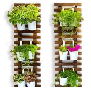 Houten Hangende Plank Houten Display Rek Muur Verticale Houten Plantenbak Voor Indoor Outdoor Klimplanten