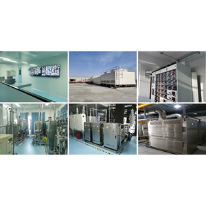 Моноклональный антитело-наперстоковидный антитело (МНА) к глутаминазе на основе кроличьего моноклонального антитела для применений в методах WB/IP/IF - Product Image 3