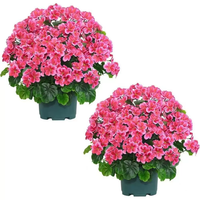 Huaien – Approvisionnement direct usine : Arrangements décoratifs en pot de fleurs artificielles en soie (roses, bonsaïs, fausses fleurs) en forme d'os pour la décoration intérieure