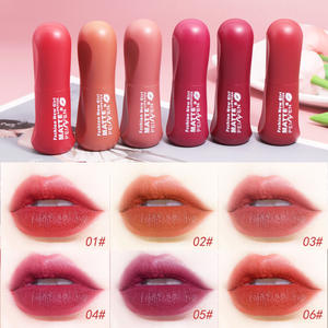 Ensemble de gloss à lèvres authentique de haute qualité, fini mat velours, non collant, hydratant, maquillage pour les lèvres - Product Image 1