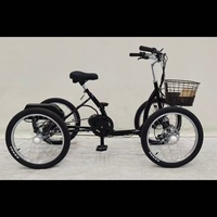 Nouveau modèle 2026 Vélo tout-terrain électrique à pneus fins, Quad électrique, Vélo électrique à quatre roues