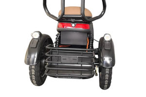 Scooter Eléctrico Abierto de 2 Plazas con Certificación DOT |   30-50 km/h, Alcance de 30-50 km |   Transporte de Corta Distancia para Viñedos y Fincas Rurales - Product Image 4