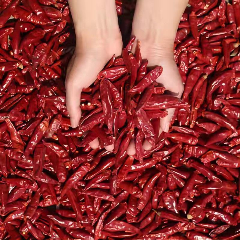 Chili Peppers