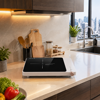Table de cuisson à induction portable 2000W avec commande tactile et bouton rotatif, 9 niveaux de puissance, minuteur numérique pour la vente en gros d'appareils de cuisine thaïlandais
