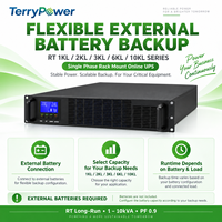 RT 1KVA 2KVA 3KVA 6KVA 10KVA 长运行机架式单相在线式UPS 双转换 PF 0.9 LCD RS232 服务器 电信