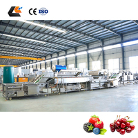 Commerciële olijfstengelverwijderaar, fruit sorteerder, cherry tomaten grader, spray bubbelwasser, automatische fruitwaslijn